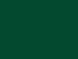 Latex Green Color Chip